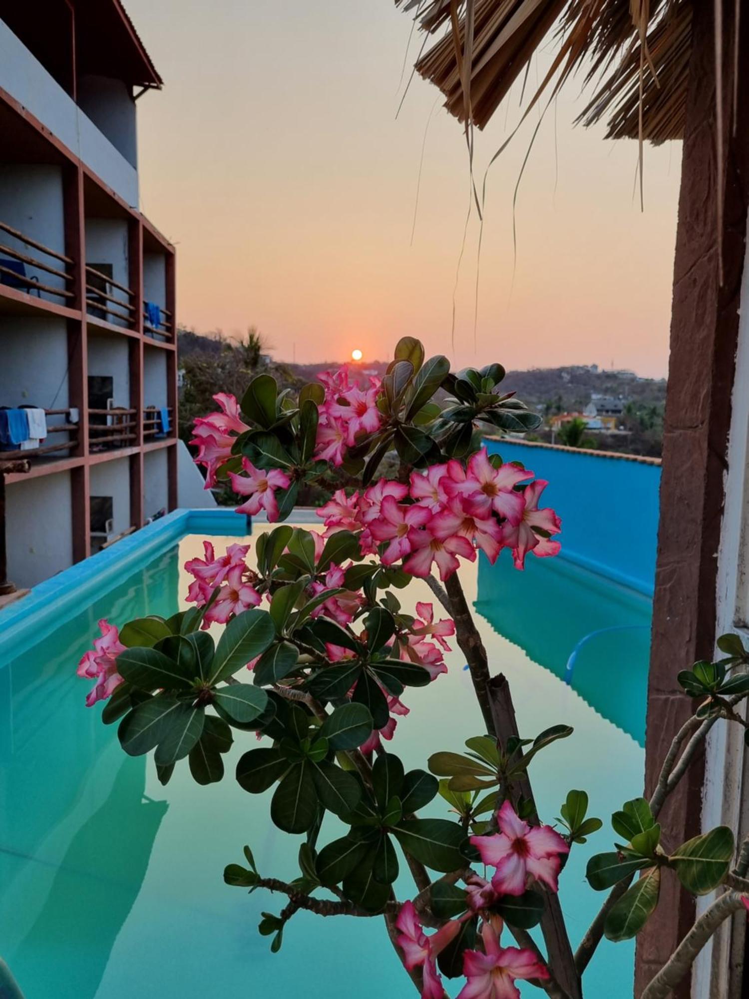 Namaste Zipolite Suites ภายนอก รูปภาพ